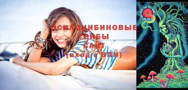 мдпв Остров